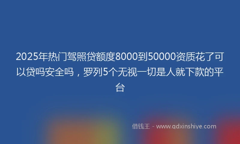 2025年热门驾照贷额度8000到50000资质花了可以贷吗安全吗，罗列5个无视一切是人就下款的平台