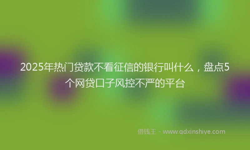 2025年热门贷款不看征信的银行叫什么，盘点5个网贷口子风控不严的平台