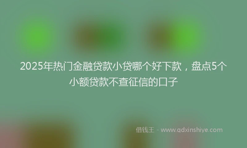 2025年热门金融贷款小贷哪个好下款，盘点5个小额贷款不查征信的口子