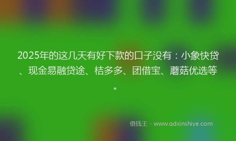 2025年的这几天有好下款的口子没有：小象快贷、现金易融贷途、桔多多、团借宝、蘑菇优选等。
