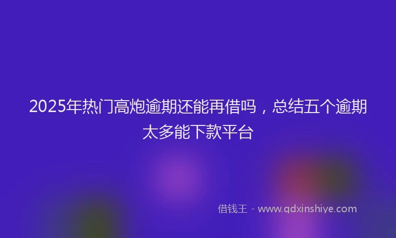 2025年热门高炮逾期还能再借吗，总结五个逾期太多能下款平台