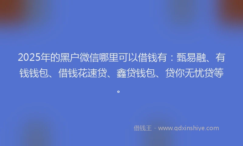 2025年的黑户微信哪里可以借钱有：甄易融、有钱钱包、借钱花速贷、鑫贷钱包、贷你无忧贷等。