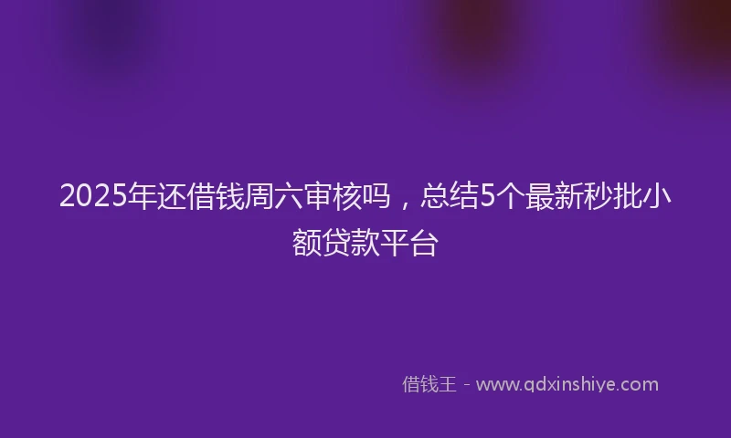 2025年还借钱周六审核吗，总结5个最新秒批小额贷款平台