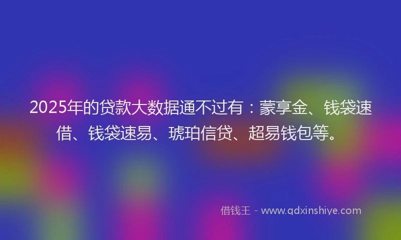 2025年的贷款大数据通不过有：蒙享金、钱袋速借、钱袋速易、琥珀信贷、超易钱包等。