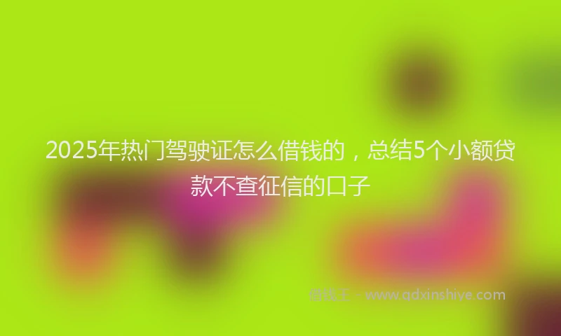 2025年热门驾驶证怎么借钱的，总结5个小额贷款不查征信的口子