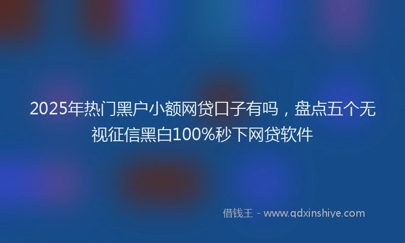 2025年热门黑户小额网贷口子有吗，盘点五个无视征信黑白100%秒下网贷软件