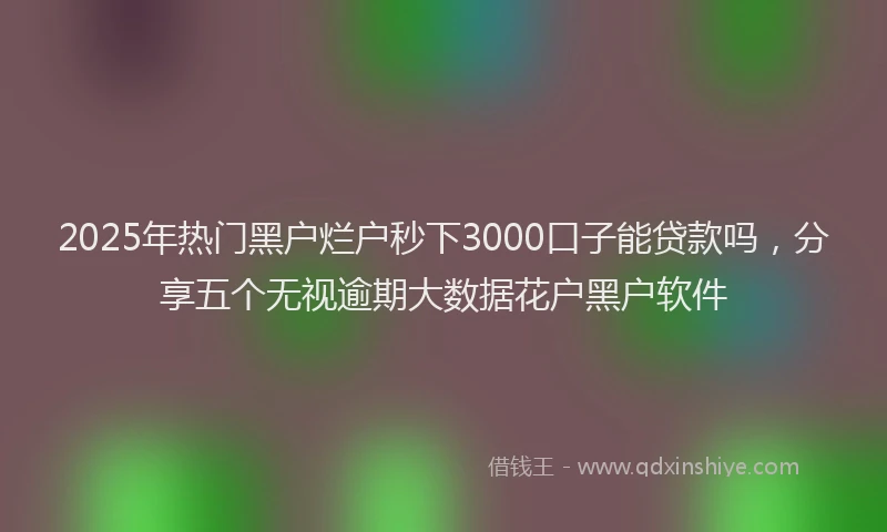 2025年热门黑户烂户秒下3000口子能贷款吗，分享五个无视逾期大数据花户黑户软件