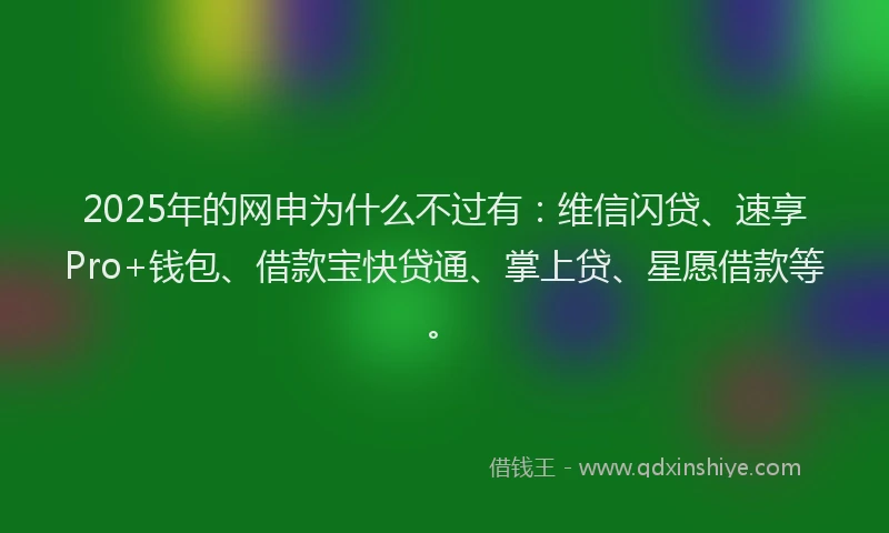 2025年的网申为什么不过有：维信闪贷、速享Pro+钱包、借款宝快贷通、掌上贷、星愿借款等。
