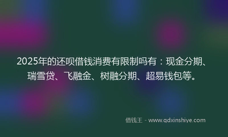2025年的还呗借钱消费有限制吗有：现金分期、瑞雪贷、飞融金、树融分期、超易钱包等。
