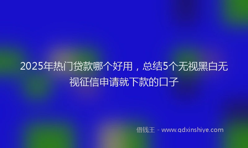 2025年热门贷款哪个好用，总结5个无视黑白无视征信申请就下款的口子