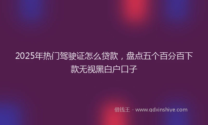 2025年热门驾驶证怎么贷款，盘点五个百分百下款无视黑白户口子