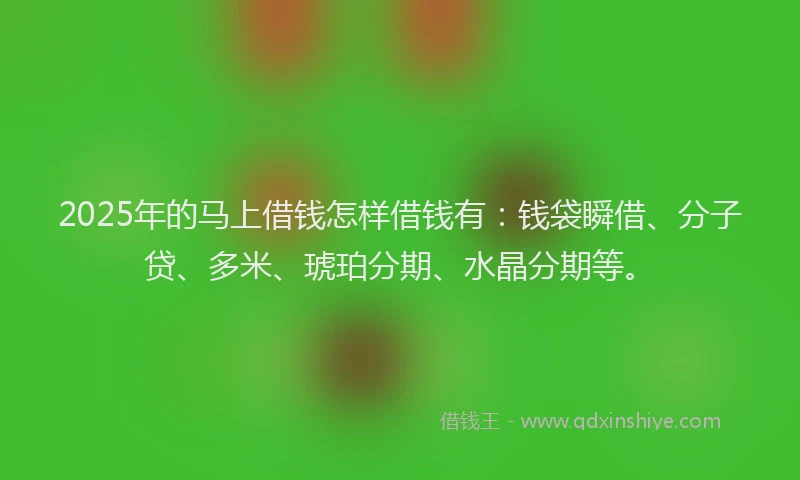 2025年的马上借钱怎样借钱有：钱袋瞬借、分子贷、多米、琥珀分期、水晶分期等。