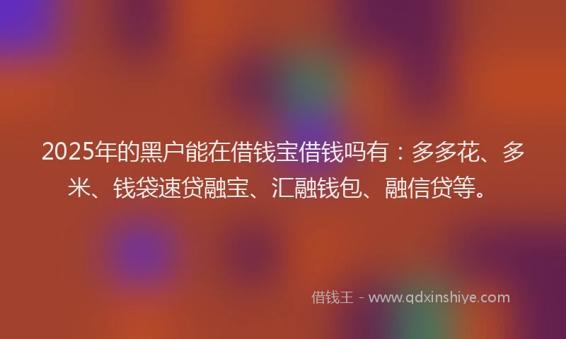 2025年的黑户能在借钱宝借钱吗有：多多花、多米、钱袋速贷融宝、汇融钱包、融信贷等。