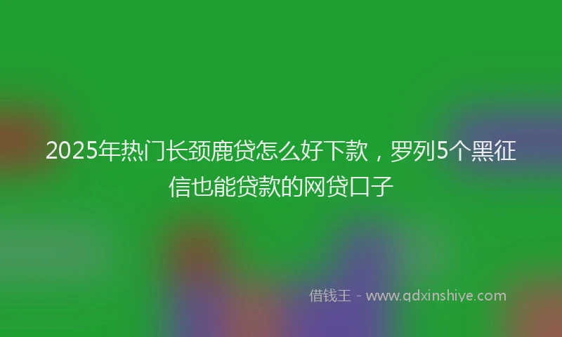 2025年热门长颈鹿贷怎么好下款，罗列5个黑征信也能贷款的网贷口子
