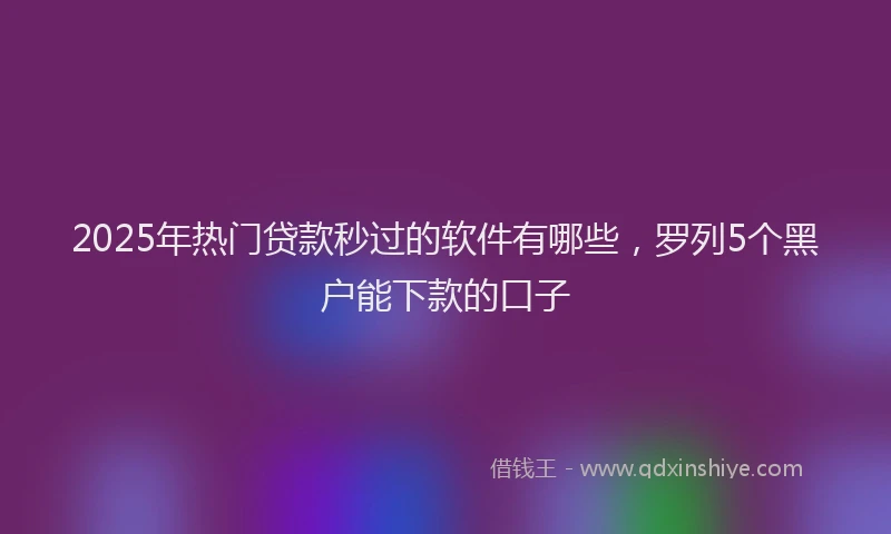 2025年热门贷款秒过的软件有哪些，罗列5个黑户能下款的口子