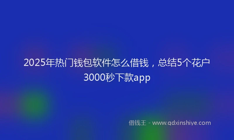 2025年热门钱包软件怎么借钱，总结5个花户3000秒下款app