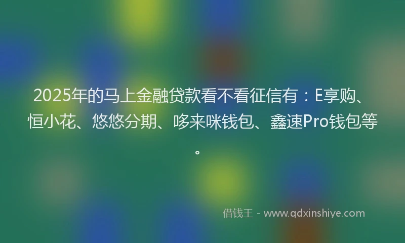 2025年的马上金融贷款看不看征信有：E享购、恒小花、悠悠分期、哆来咪钱包、鑫速Pro钱包等。