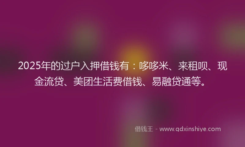 2025年的过户入押借钱有：哆哆米、来租呗、现金流贷、美团生活费借钱、易融贷通等。
