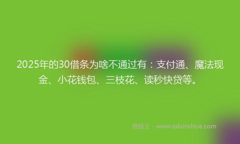 2025年的30借条为啥不通过有：支付通、魔法现金、小花钱包、三枝花、读秒快贷等。