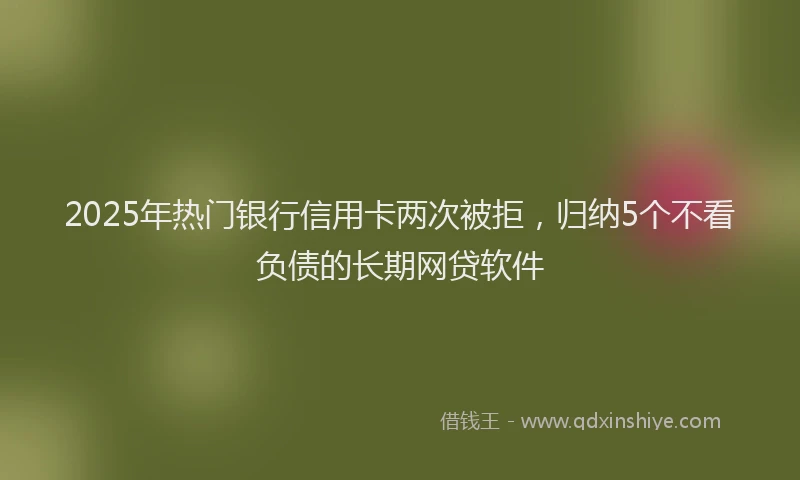2025年热门银行信用卡两次被拒，归纳5个不看负债的长期网贷软件