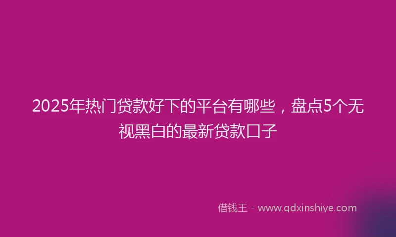 2025年热门贷款好下的平台有哪些，盘点5个无视黑白的最新贷款口子