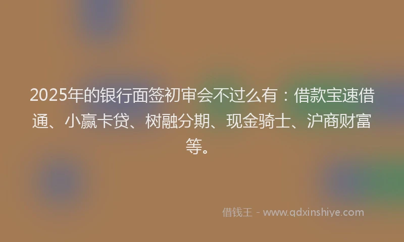 2025年的银行面签初审会不过么有：借款宝速借通、小赢卡贷、树融分期、现金骑士、沪商财富等。