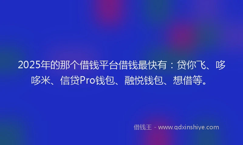2025年的那个借钱平台借钱最快有：贷你飞、哆哆米、信贷Pro钱包、融悦钱包、想借等。