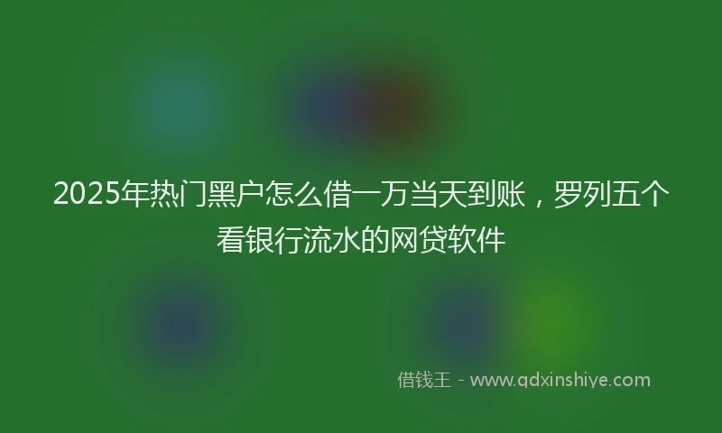 2025年热门黑户怎么借一万当天到账，罗列五个看银行流水的网贷软件