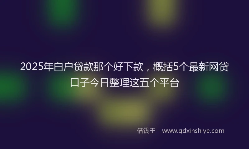2025年白户贷款那个好下款，概括5个最新网贷口子今日整理这五个平台