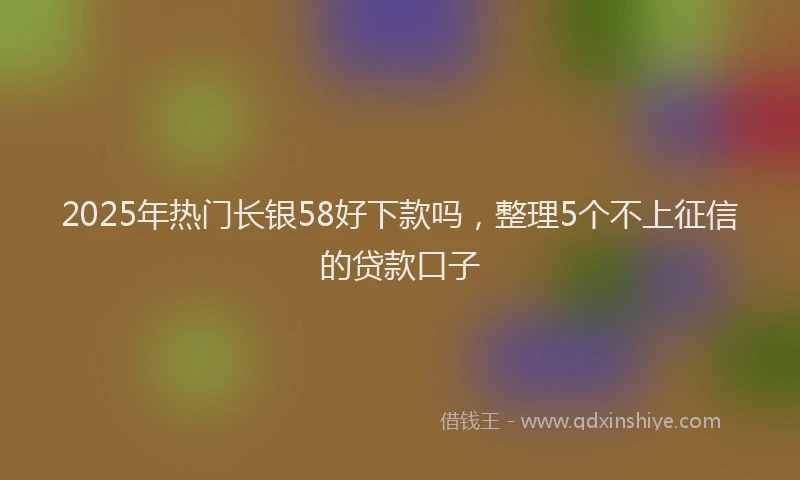 2025年热门长银58好下款吗，整理5个不上征信的贷款口子