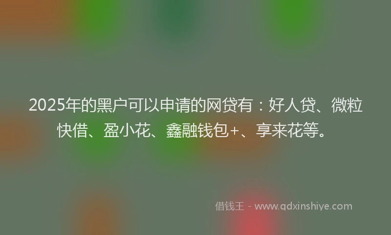 2025年的黑户可以申请的网贷有：好人贷、微粒快借、盈小花、鑫融钱包+、享来花等。