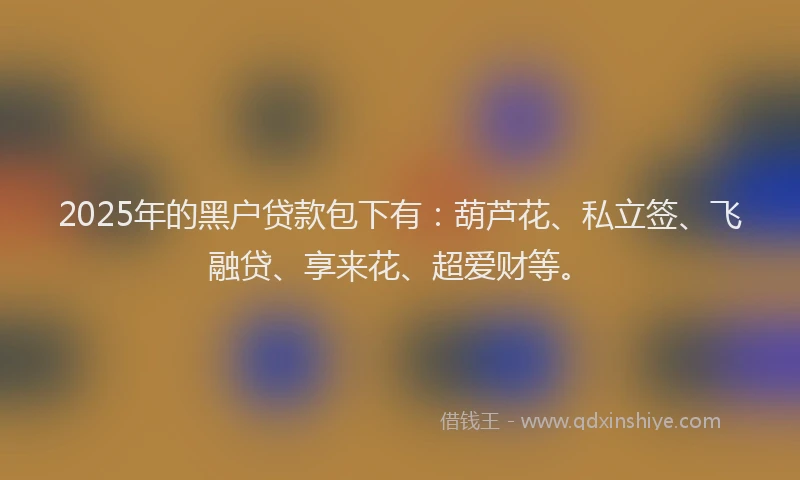 2025年的黑户贷款包下有：葫芦花、私立签、飞融贷、享来花、超爱财等。