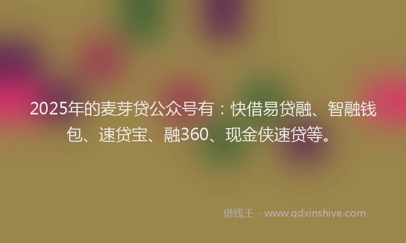 2025年的麦芽贷公众号有：快借易贷融、智融钱包、速贷宝、融360、现金侠速贷等。