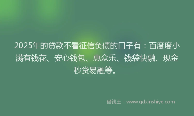 2025年的贷款不看征信负债的口子有：百度度小满有钱花、安心钱包、惠众乐、钱袋快融、现金秒贷易融等。