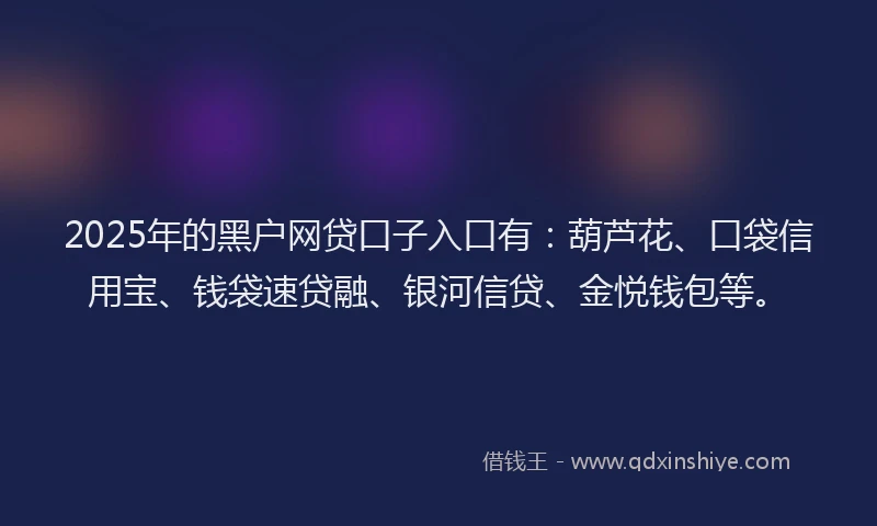 2025年的黑户网贷口子入口有：葫芦花、口袋信用宝、钱袋速贷融、银河信贷、金悦钱包等。