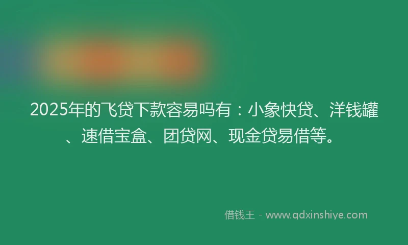 2025年的飞贷下款容易吗有：小象快贷、洋钱罐、速借宝盒、团贷网、现金贷易借等。
