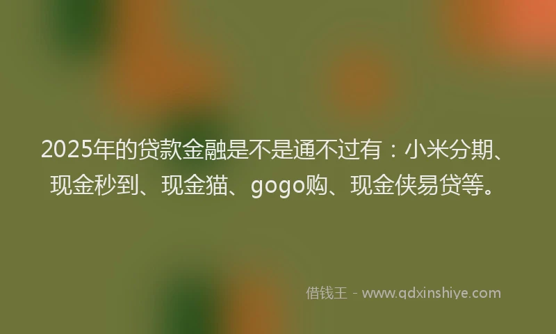 2025年的贷款金融是不是通不过有：小米分期、现金秒到、现金猫、gogo购、现金侠易贷等。