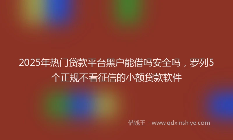 2025年热门贷款平台黑户能借吗安全吗，罗列5个正规不看征信的小额贷款软件