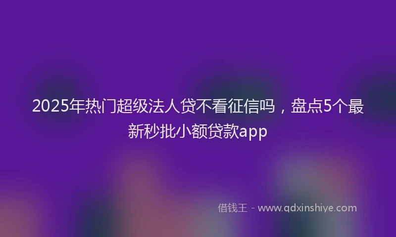 2025年热门超级法人贷不看征信吗，盘点5个最新秒批小额贷款app