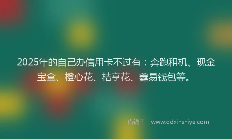 2025年的自己办信用卡不过有：奔跑租机、现金宝盒、橙心花、桔享花、鑫易钱包等。