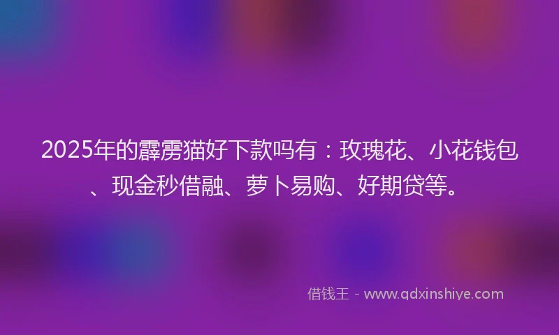 2025年的霹雳猫好下款吗有：玫瑰花、小花钱包、现金秒借融、萝卜易购、好期贷等。