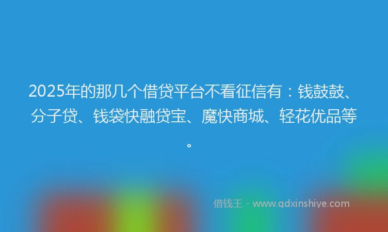 2025年的那几个借贷平台不看征信有：钱鼓鼓、分子贷、钱袋快融贷宝、魔快商城、轻花优品等。
