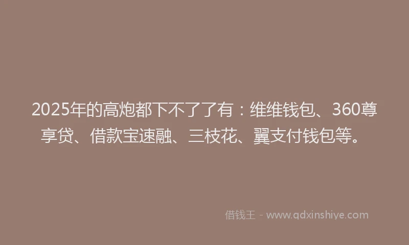 2025年的高炮都下不了了有：维维钱包、360尊享贷、借款宝速融、三枝花、翼支付钱包等。