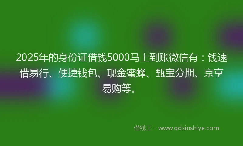 2025年的身份证借钱5000马上到账微信有：钱速借易行、便捷钱包、现金蜜蜂、甄宝分期、京享易购等。