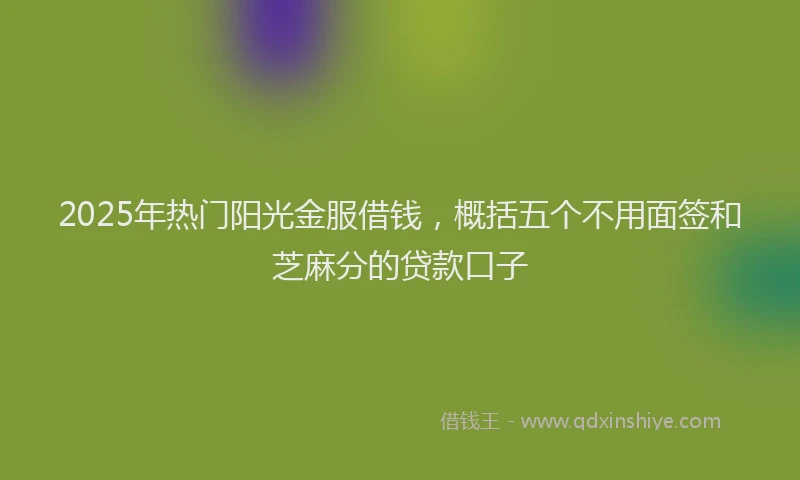 2025年热门阳光金服借钱，概括五个不用面签和芝麻分的贷款口子