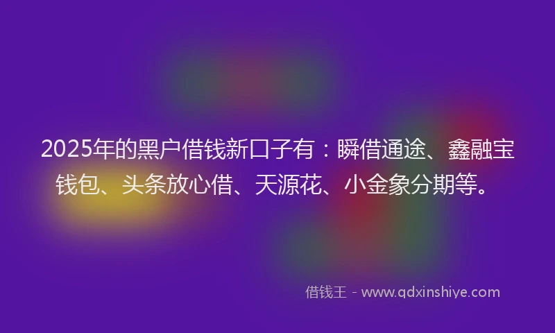 2025年的黑户借钱新口子有：瞬借通途、鑫融宝钱包、头条放心借、天源花、小金象分期等。