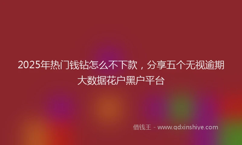 2025年热门钱钻怎么不下款，分享五个无视逾期大数据花户黑户平台