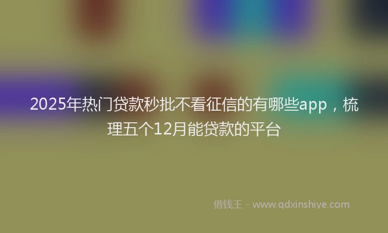 2025年热门贷款秒批不看征信的有哪些app，梳理五个12月能贷款的平台