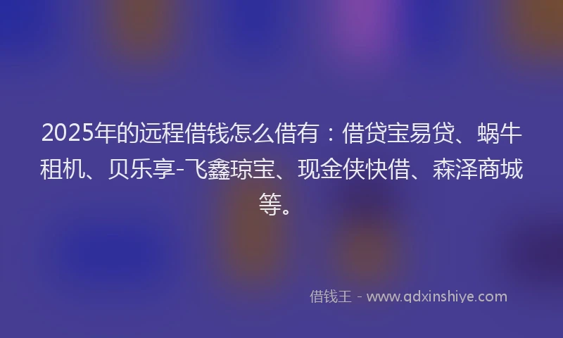 2025年的远程借钱怎么借有：借贷宝易贷、蜗牛租机、贝乐享-飞鑫琼宝、现金侠快借、森泽商城等。