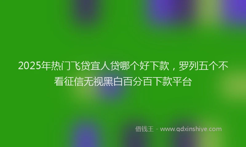 2025年热门飞贷宜人贷哪个好下款，罗列五个不看征信无视黑白百分百下款平台
